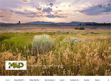 Tablet Screenshot of mapf.org